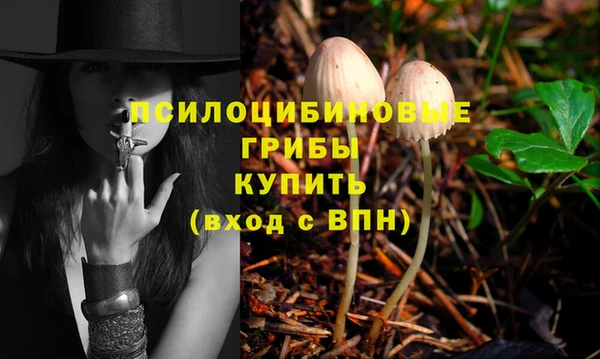 дурь Алзамай