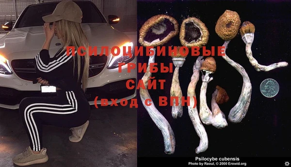 дурь Алзамай