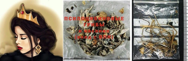 дурь Алзамай