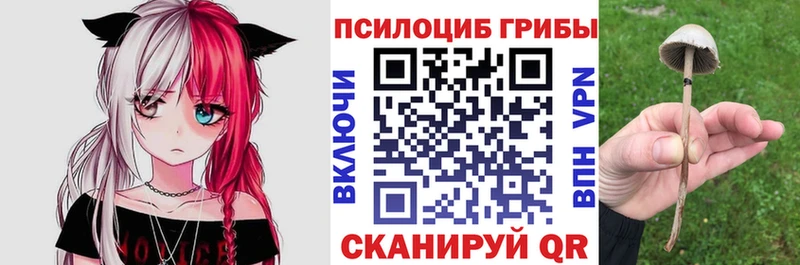 KRAKEN ССЫЛКА  Салават  Псилоцибиновые грибы Cubensis  что такое  
